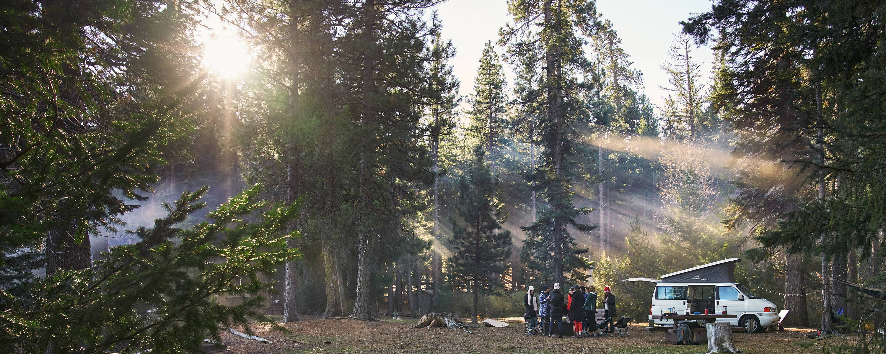 A DAY IN THE WOODS